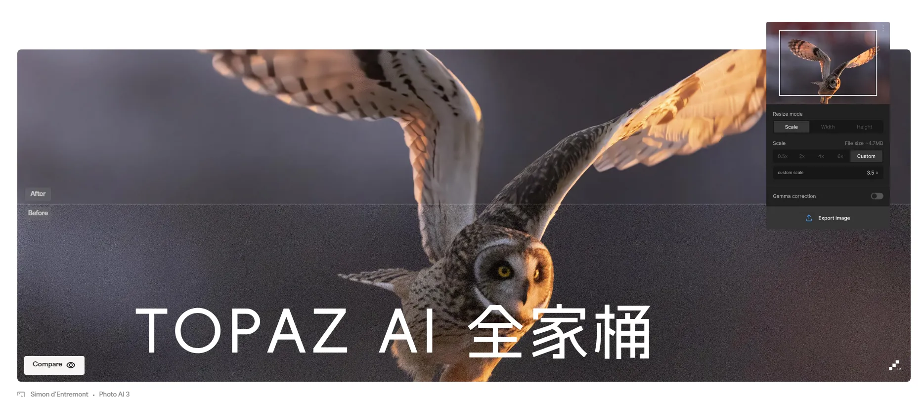 TOPAZ AI 全家桶汉化下载（Win和苹果版Mac）