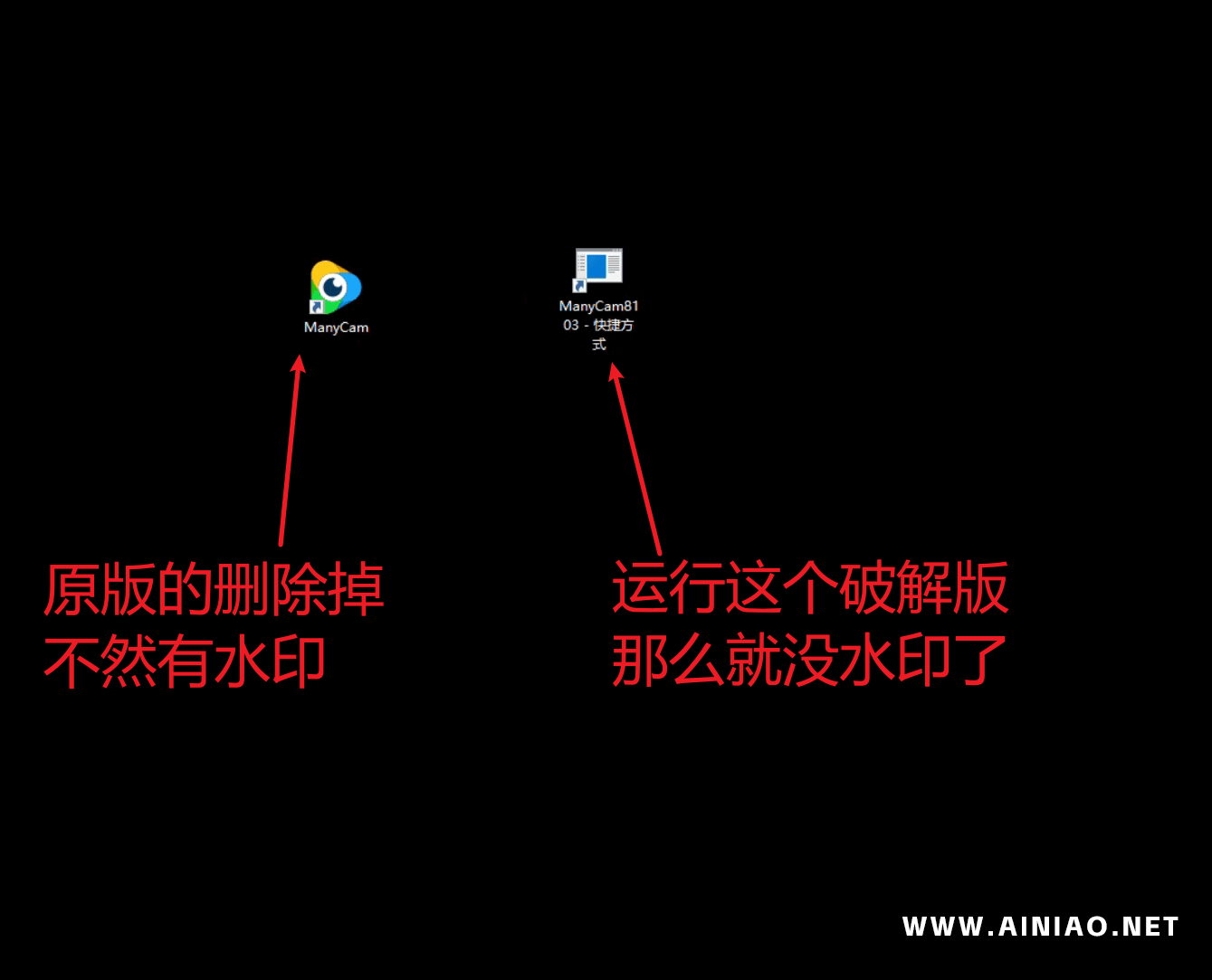 专业版_安装虚拟摄像头_ManyCam