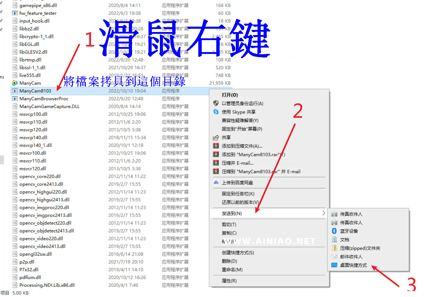 专业版_安装虚拟摄像头_ManyCam