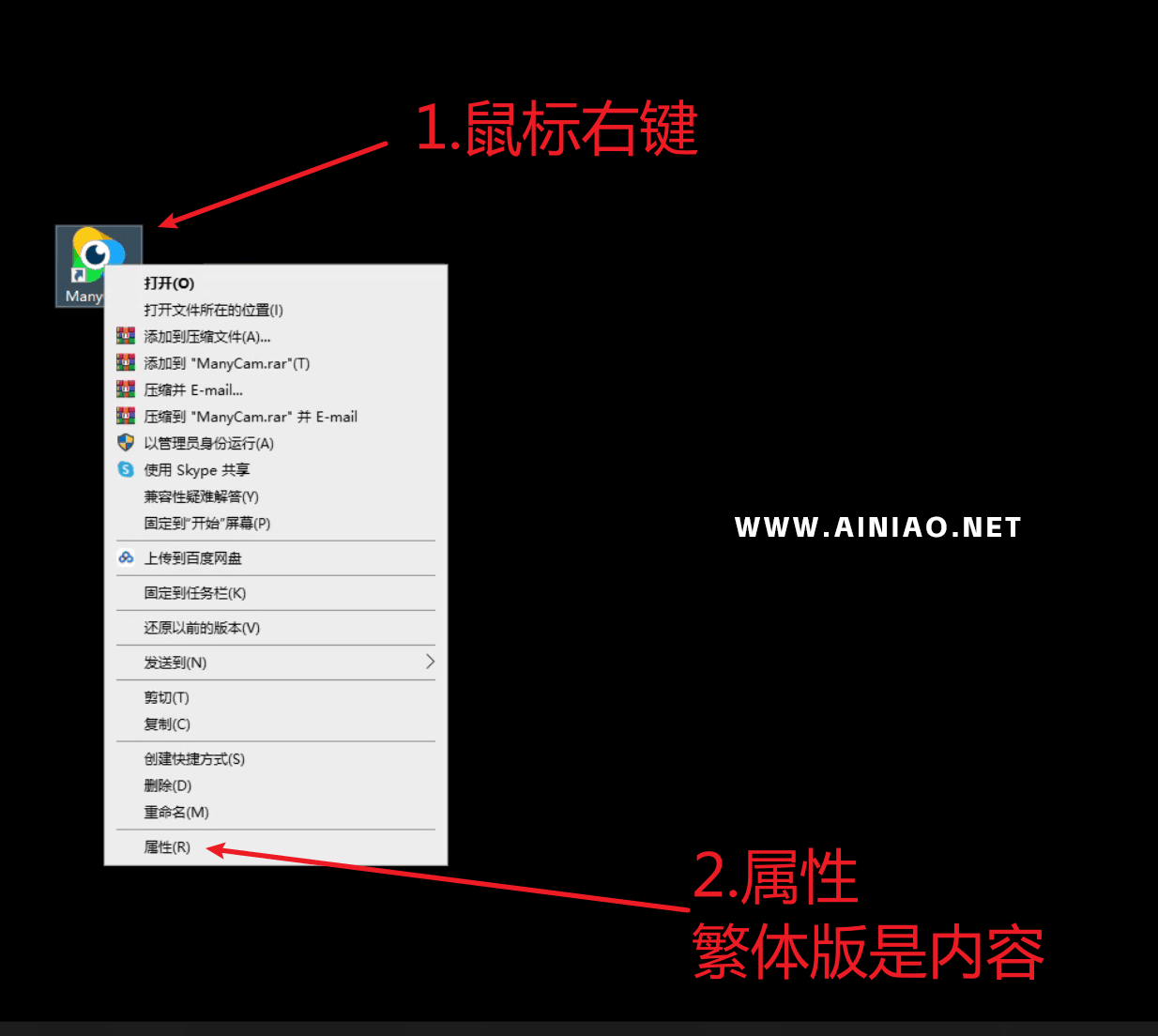 专业版_安装虚拟摄像头_ManyCam